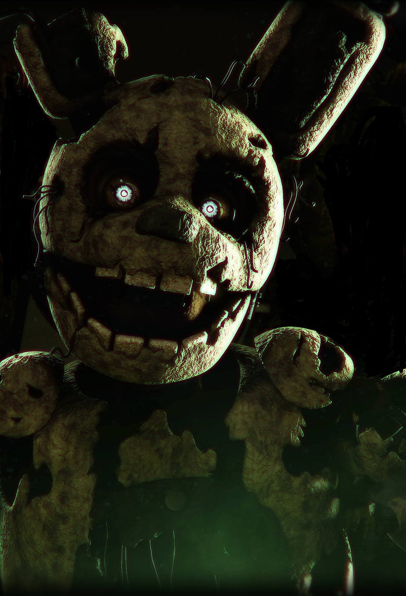 Spring trap HD wallpapers  Pxfuel