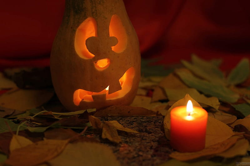 Anxious Pumpkin, candle, halloween, artwork, light, HD wallpaper