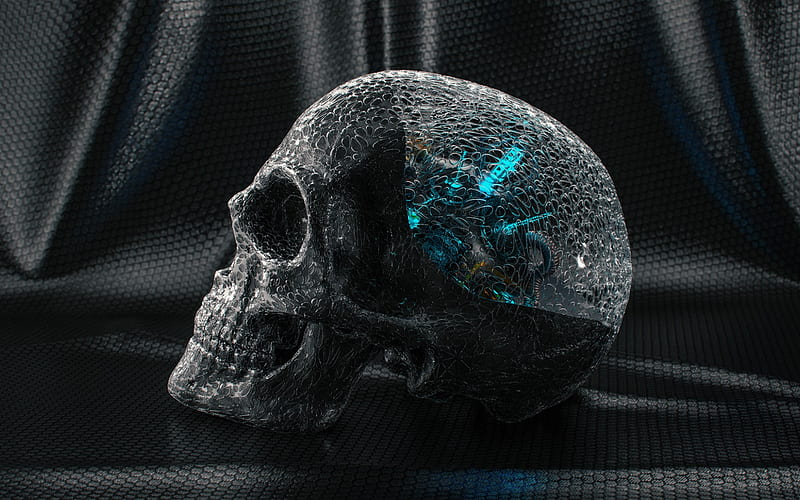 3d skull, carbon model of the skull, artificial intelligence concepts, skull, creative art, HD wallpaper
