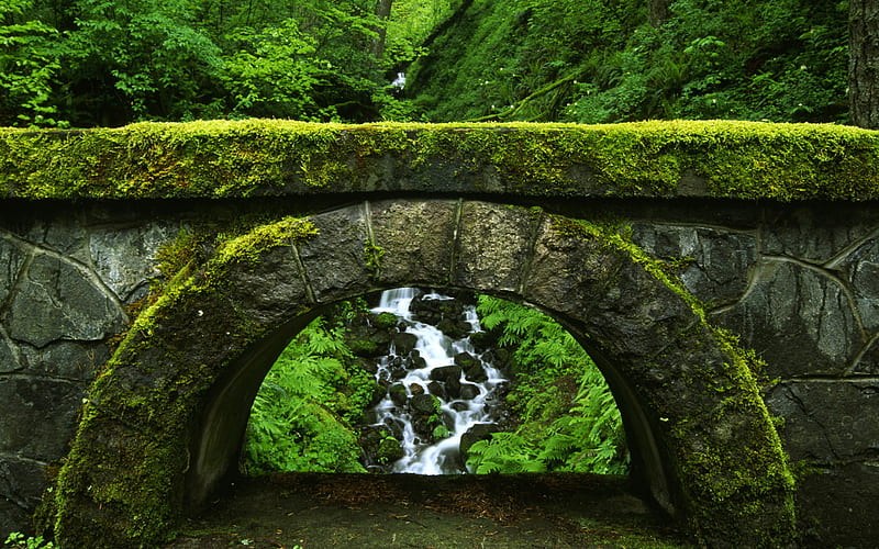 Through the Arch, rocks, fern, trees, leaves, water, arch, green, stone, bridge, waterfall, moss, HD wallpaper