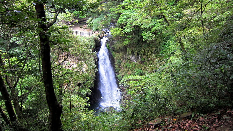 Waterfall, mountain, mountain climbing, forest, HD wallpaper