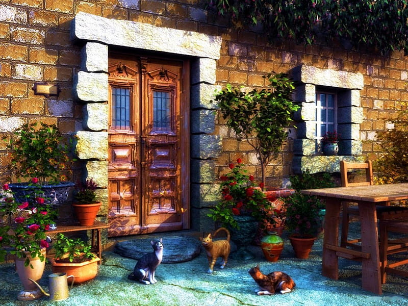 Country Cottage, table, 3d, pots, window, flowers, cats, door, HD wallpaper