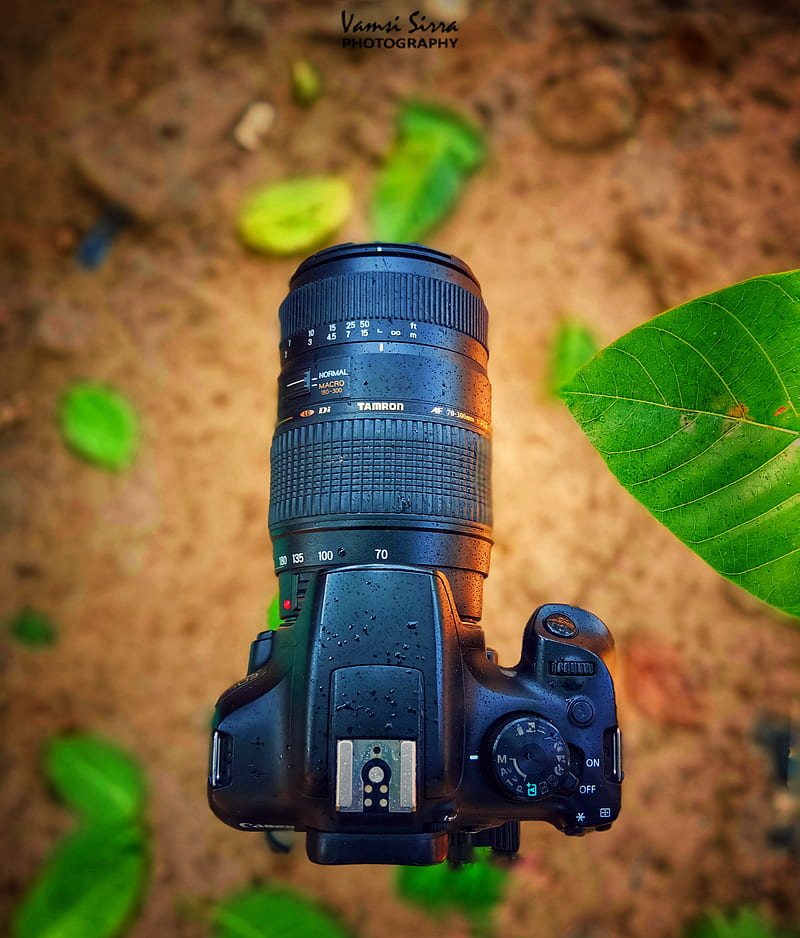 Sony Camera Milc Digital - Free photo on Pixabay - Pixabay