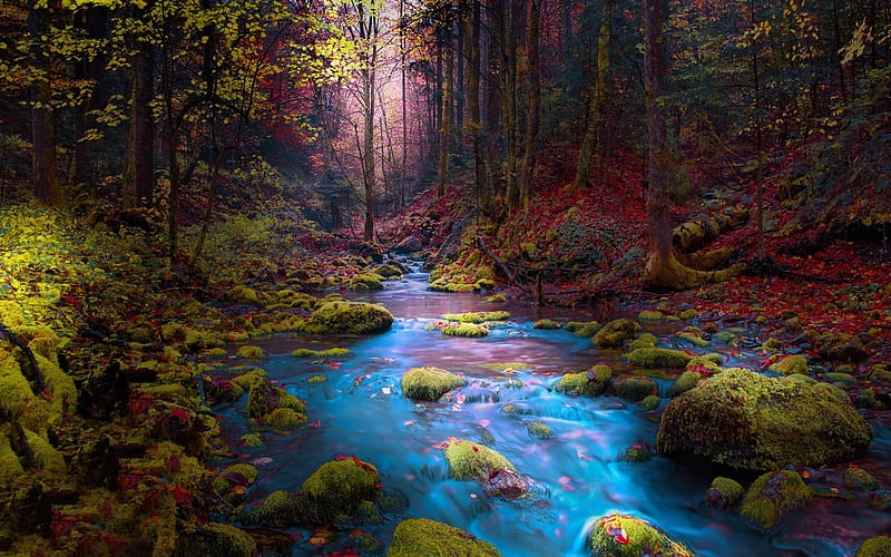 Autumn Stream, stream, forest, leaves, autumn, nature, river, trees, HD ...