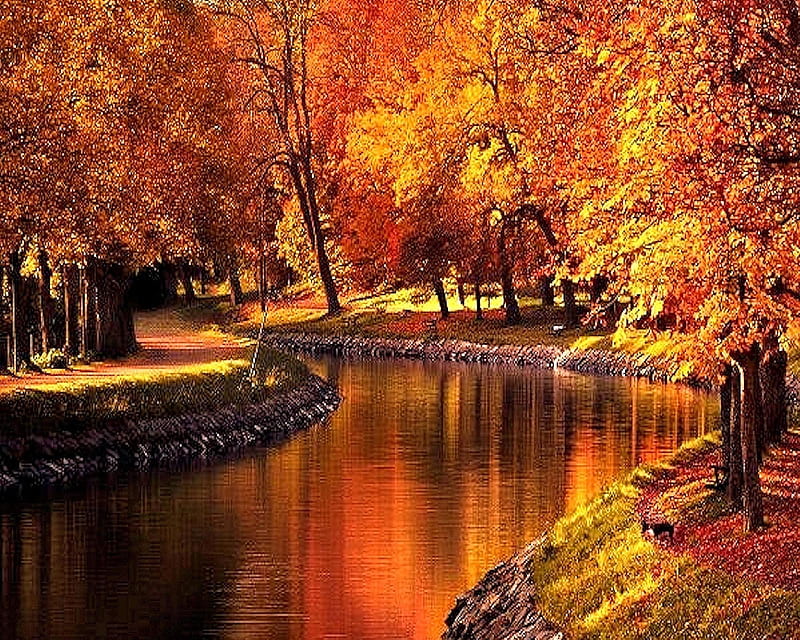 Autumn River, bonito, cute, look, nice, HD wallpaper | Peakpx