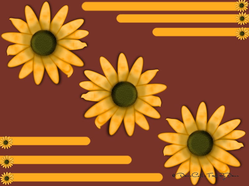 sunflower bars, bars, gold, brown, sunflowers, HD wallpaper