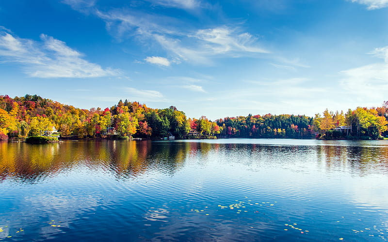 Greenwood lake Foliage Autumn 2020 Scenery, HD wallpaper