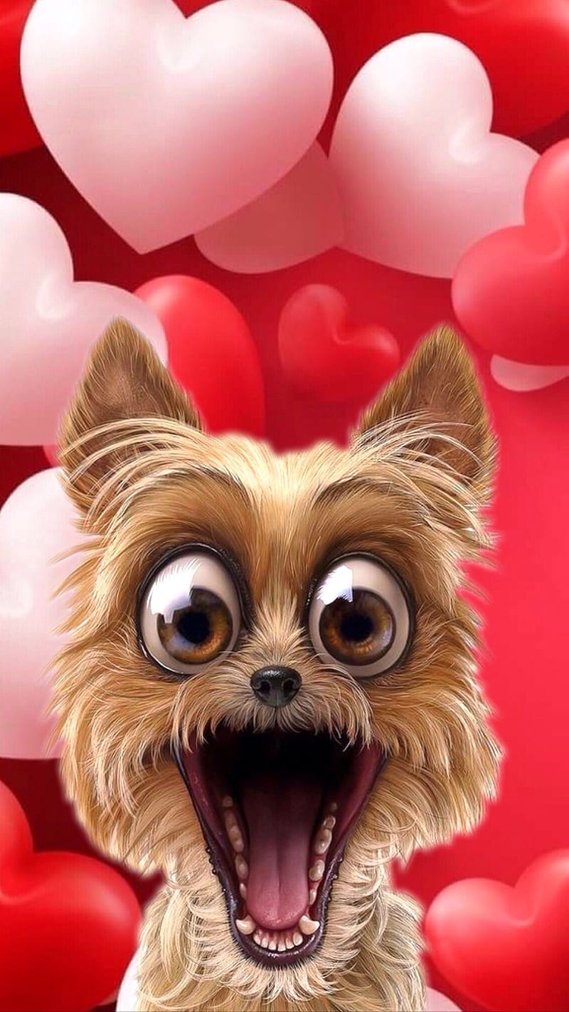 Funny dog, animal, doggy, drawings, corazones, love, pink red, surprise, HD phone wallpaper
