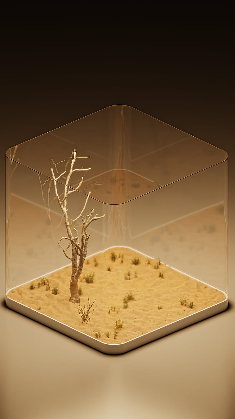sand, tree bark, nature, desert, digital, render, dark, HD phone wallpaper