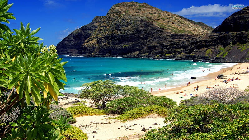 ~Oahu Paradise~, shore, ocean, sky, clouds, beach, oahu, sand, water, paradise, summer, nature, landscape, HD wallpaper