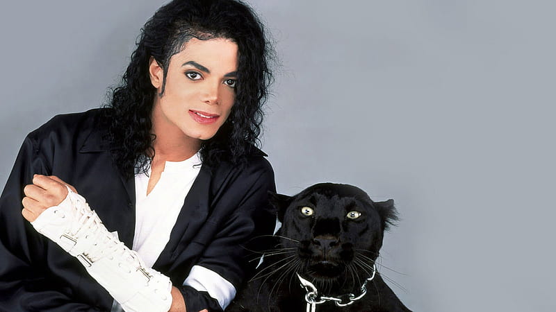 Michael Jackson With Panther In Ash Background Wearing White T-shirt And Black Coat Celebrities, HD wallpaper