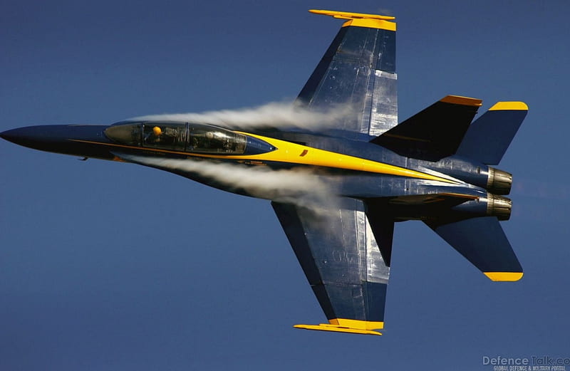 F-18 Hornet, fighter, force, wing, aircraft, plane, air, military, jet, firepower, HD wallpaper