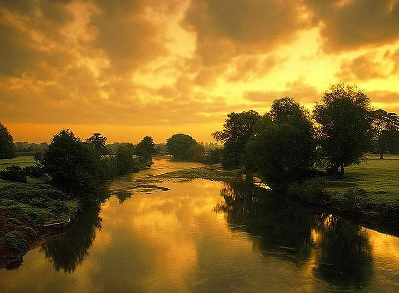 Couchers de Soleil #13, grass, bonito, clouds, grasslands, nice, gold, green, landscapes, rivers, couchers, amazing, lakes, trees, lagoons, soleil, cool, plants, awesome, HD wallpaper