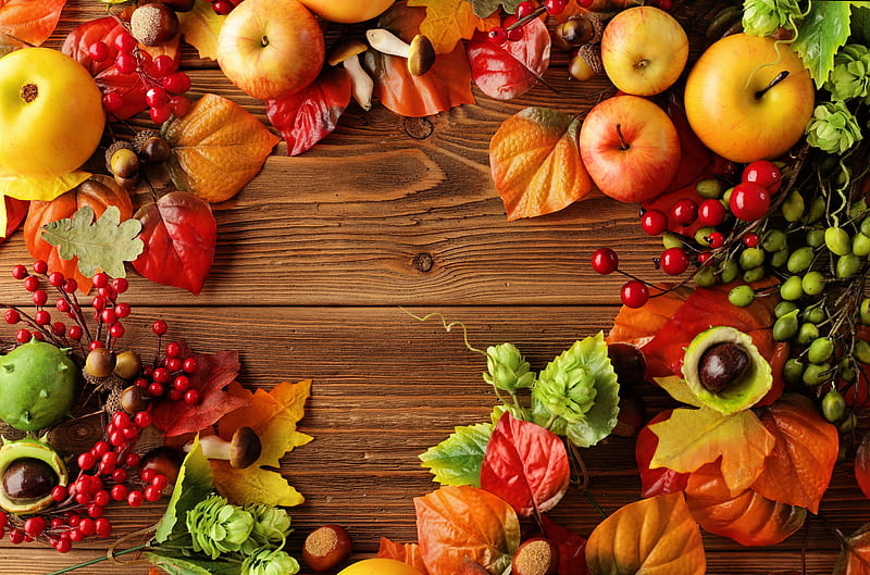 Autumn Still Life, grapes, harvest, leaves, food, apples, Autumn, HD wallpaper