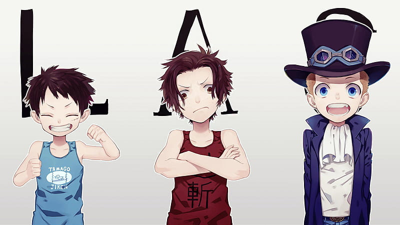 One Piece Ace Luffy And Sabo Anime, HD wallpaper