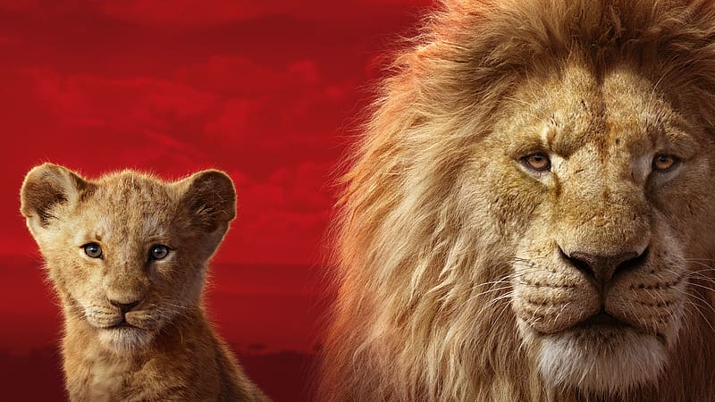 Movie, Simba, The Lion King (2019), HD wallpaper