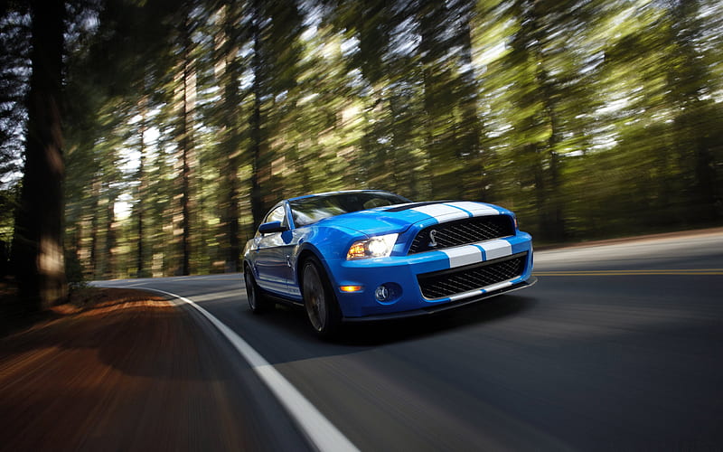 ford shelby gt500-Limousine Selected, HD wallpaper