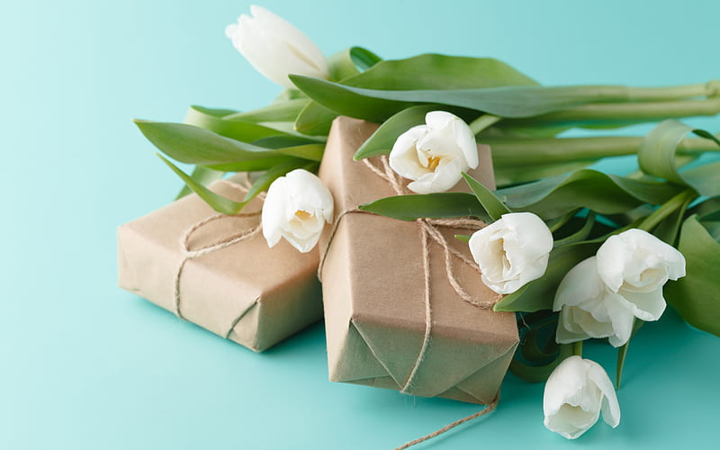 white tulips, spring flowers, gifts, tulips, background with tulips, package, HD wallpaper