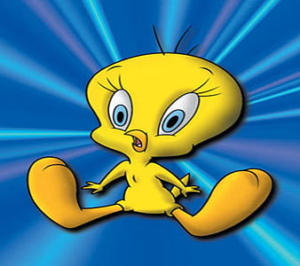 Tweety, bird, HD phone wallpaper | Peakpx