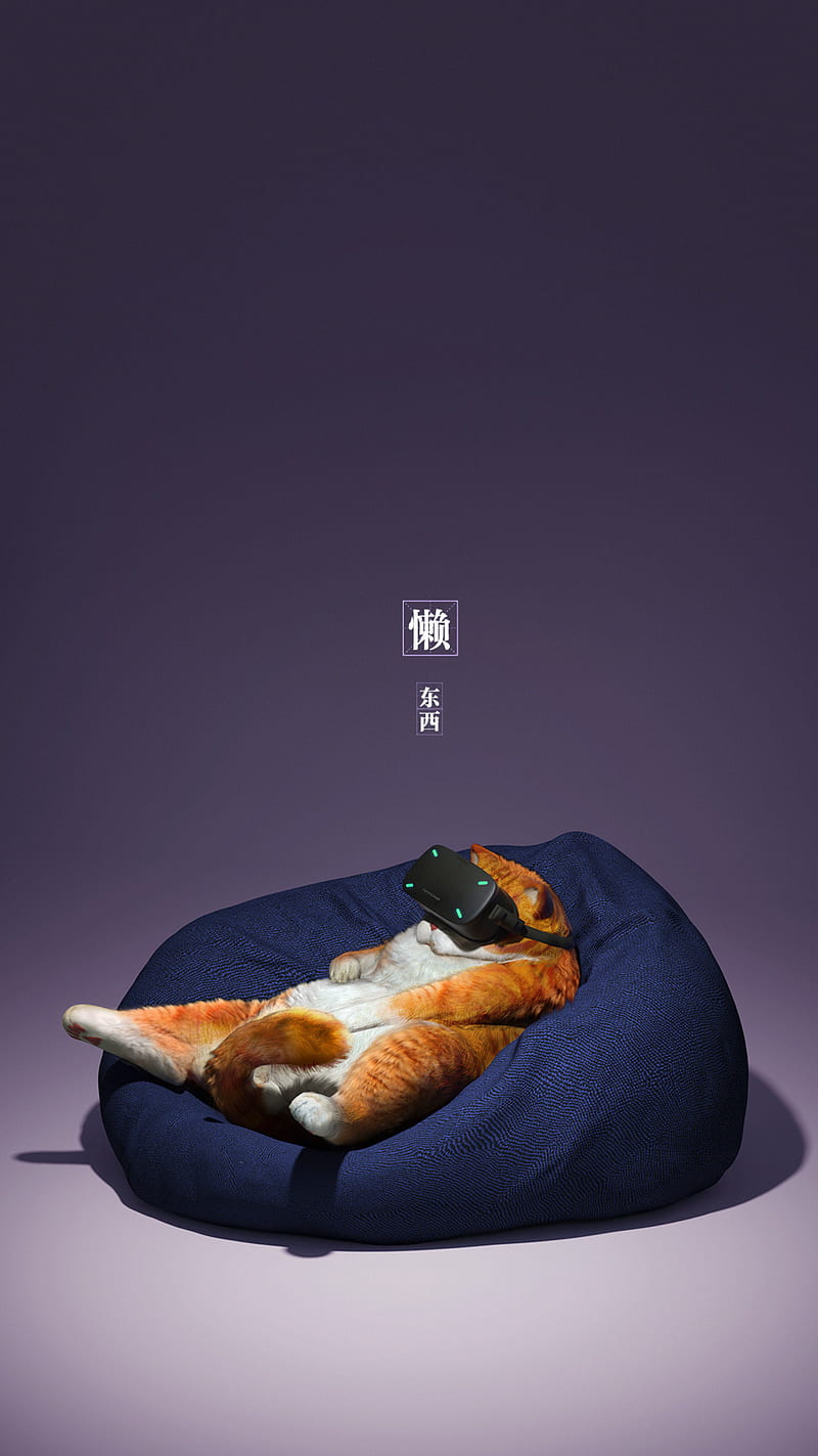 cat, glasses, virtual reality, funny, cool, HD phone wallpaper