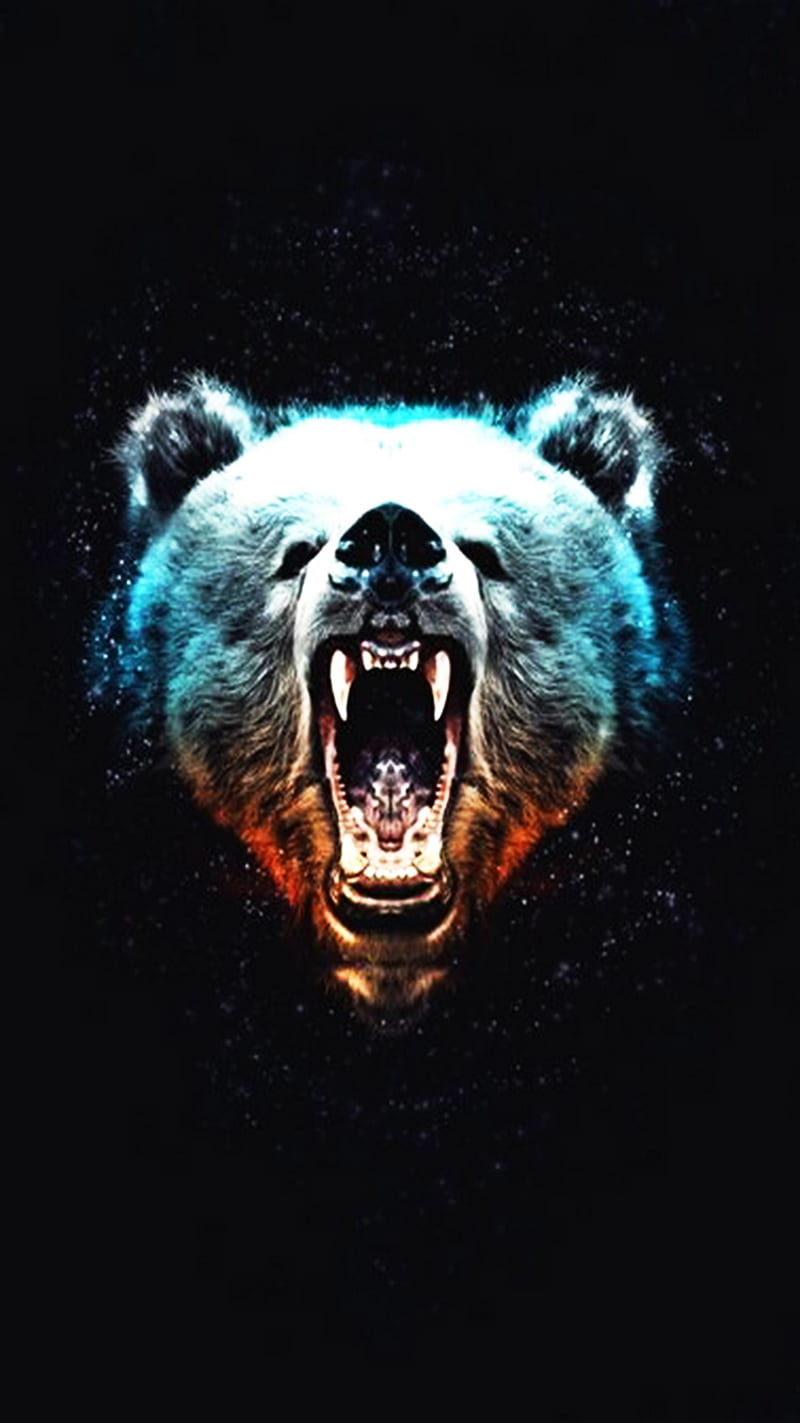Cool Bear wallpaper by DJIvory  Download on ZEDGE  655f