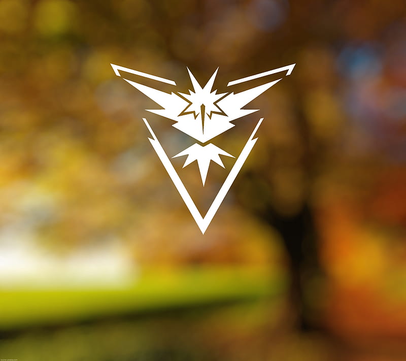 Team Instinct, pokemon go, HD wallpaper