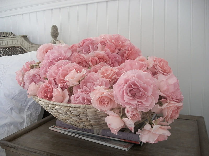 rose basket for jasnas, nature, rose, pink, basket, HD wallpaper