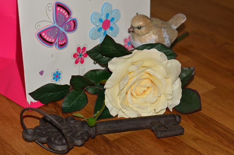 Gifts for a friend, rose flower, present lovely, Nexus, shellandshilo, old key, birtay, copyright , bird, friendship love, vintage, HD wallpaper