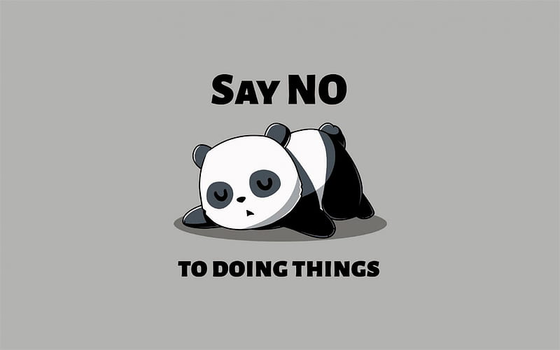 Say no to do things, panda, quotes, funny, HD wallpaper