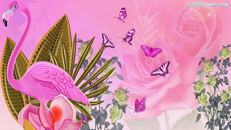 Flower, flower, rosado, HD phone wallpaper