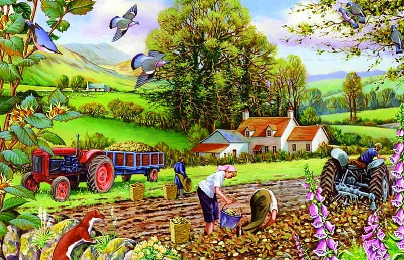 Drawing Rural Landscape Farm Agriculture Scene Stock Illustration -  Download Image Now - Child, Art, Child's Drawing - iStock
