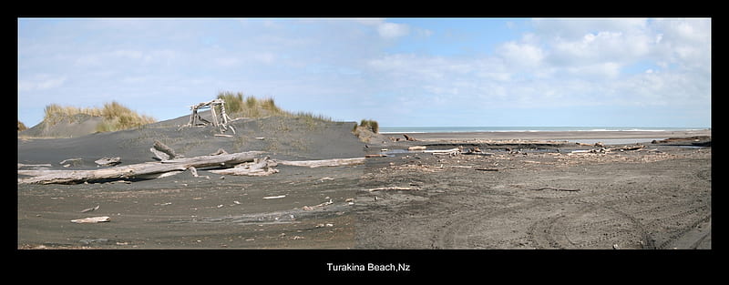 Turakina Beach, Rangitikei, Nz, beach, new zealand, sand, coast west, drift, wood, sea, HD wallpaper