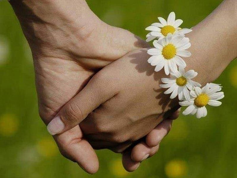 Romance Moment, cool, graphy, people, love, flowers, HD wallpaper