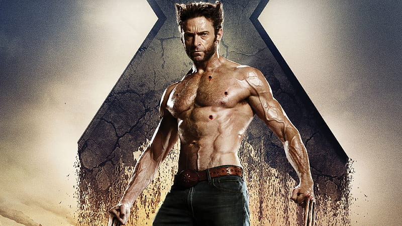 Wolverine In X Men, wolverine, x-men, movies, HD wallpaper