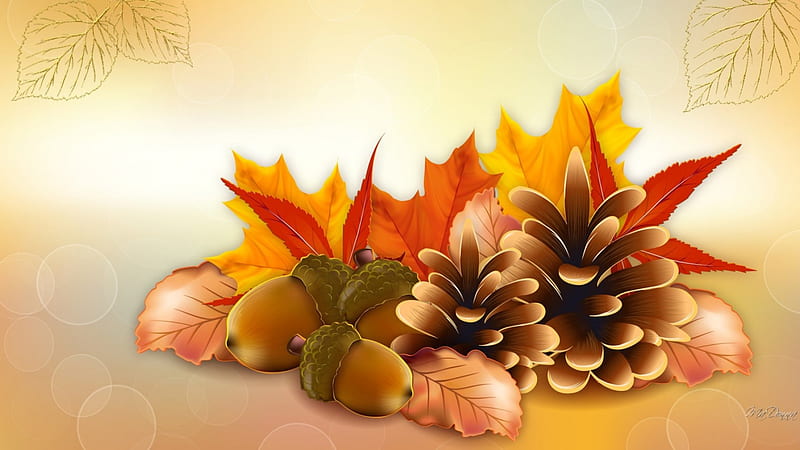 Thanksgiving Fall, fall, autumn, orange, maple, acorns, pine cones, leaves, Thanksgiving, gold, HD wallpaper