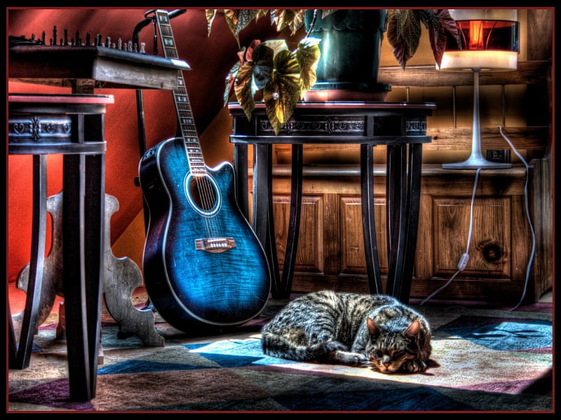 CAT & GUITAR R, r, cat, guitar, blue, HD wallpaper