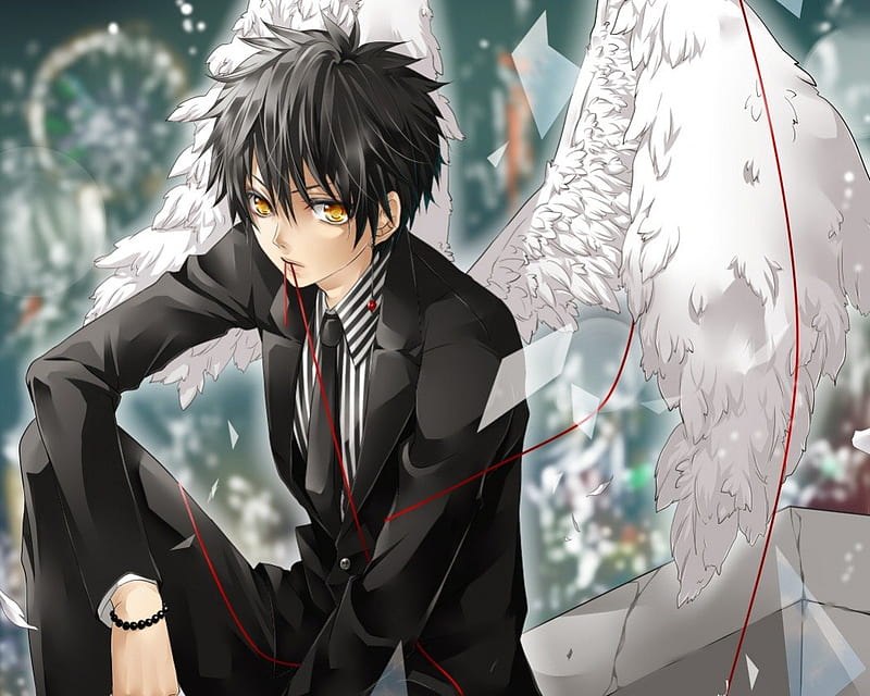 Angel Boy, pretty, guy, bonito, wing, sweet, nice, anime, feather,  handsome, HD wallpaper | Peakpx