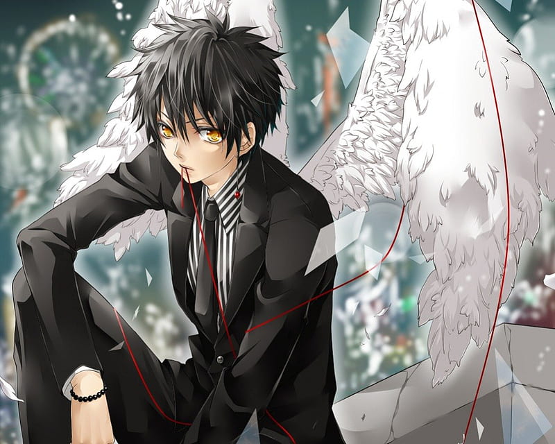 anime boy with wings and black hair