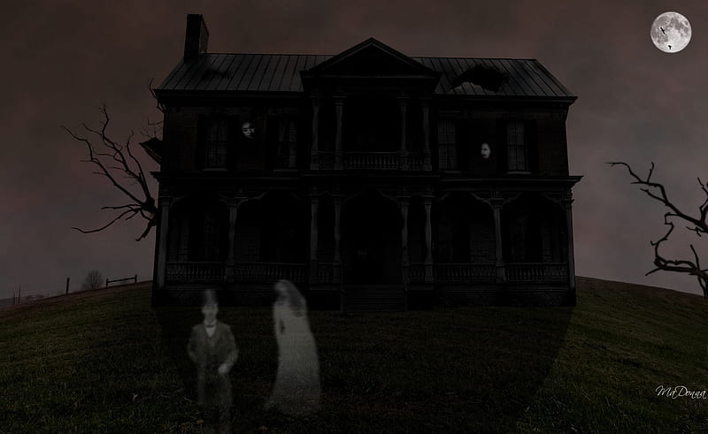 Haunted House, haunting, moon, spooky, holiday, ghosts, halloween, scary, haunted, HD wallpaper