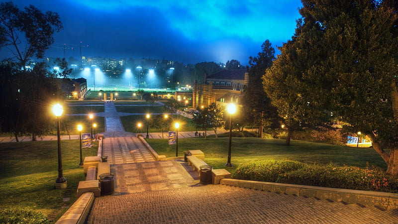 campus of UCLA in westwood los angeles, school, stadium, evening, hill, lights, steps, HD wallpaper