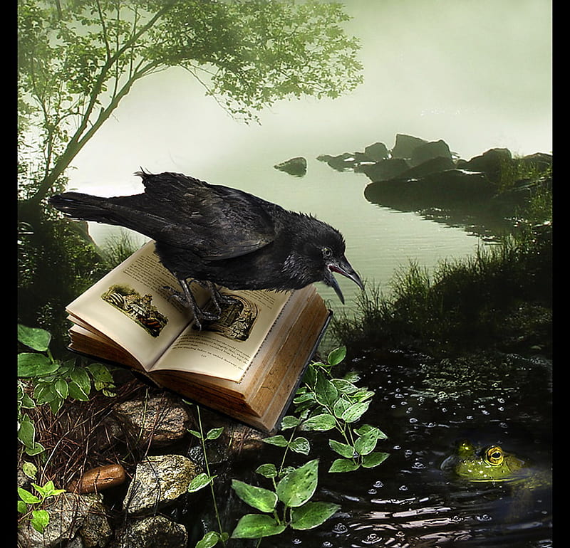 Book of spells, art, 3d, raven, book, hot, abstract, HD wallpaper