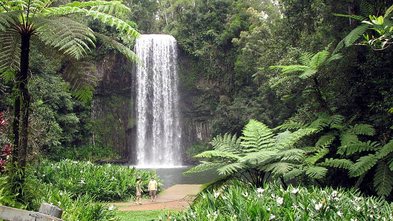Millaa Millaa Falls - Queensland - Australia, Waterfalls, Queensland, Australia, Millaa Millaa Falls, HD wallpaper