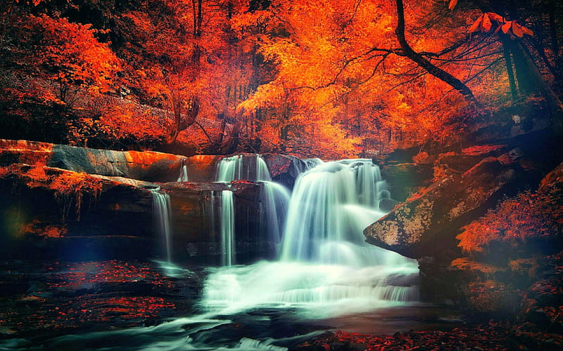 ★Spectacular in Autumn★, colorful, fall season, autumn, lovely, colors, love four seasons, bonito, attractions in dreams, creative pre-made, trees, waterfalls, leaves, nature, forests, spectacular, scenery, HD wallpaper