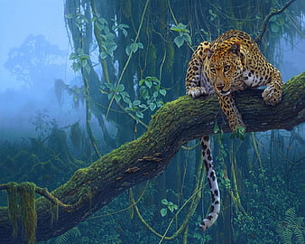 Leopard On a Tree, angry, animaljungle, life, HD wallpaper | Peakpx