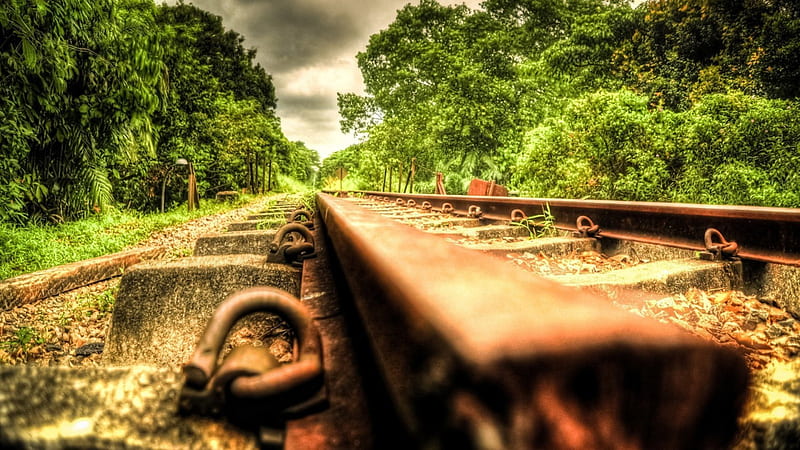 View of rusted abandoned rail tracks r, forest, view, rust, r, tracks,  supports, HD wallpaper | Peakpx
