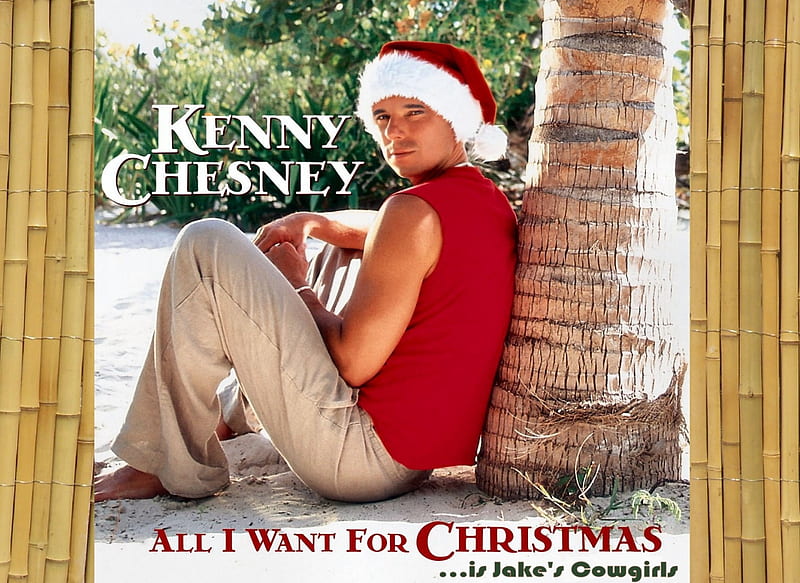 Kenny's Wish, Christmas, holidays, music, Kenny Chesney, fun, country, singer, famous, style, HD wallpaper