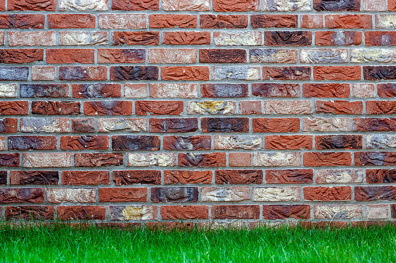 Texture, grass, ground, lawn, bricks, wall, nature, rain, best, brown, HD wallpaper