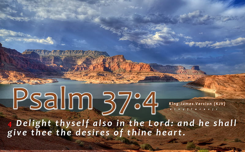 Psalm 37:4, bible verse background, bible verse, Psalm 37 4, bible verse  kjv, HD wallpaper | Peakpx