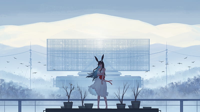 Anime Girl In White Dress, anime-girl, anime, artist, artwork, digital-art, HD wallpaper