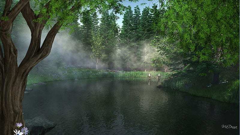 Morning Mist on Meadow Lake, wild flowers, firefox persona, trees, lake, mist, water, misty, morning, meadow, HD wallpaper